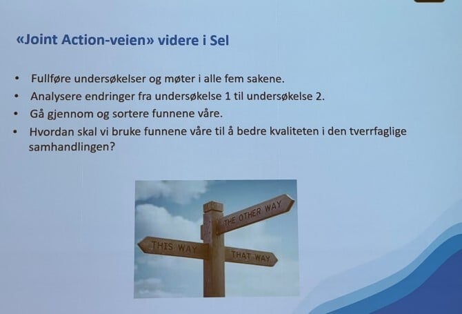 Veien videre i Sel -1