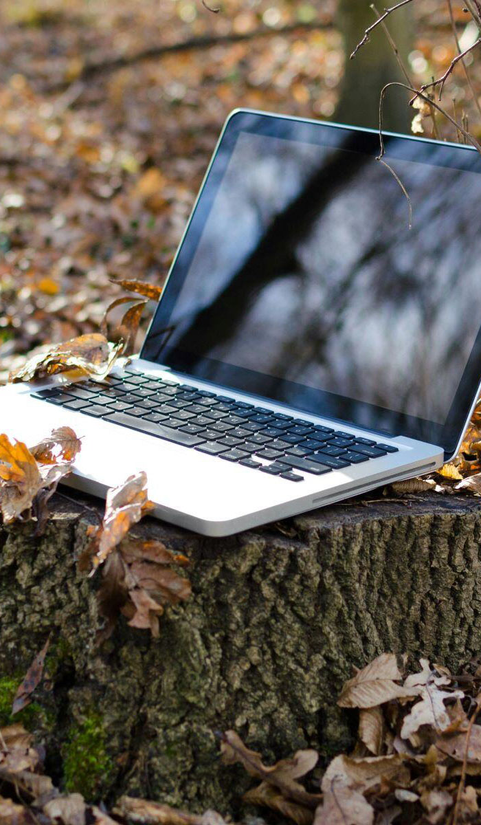 En bærbar datamaskin står åpen på en trestubbe omgitt av visne høstblader. Skjermen reflekterer trær mot en blå himmel, og bildet symboliserer balansen mellom teknologi og natur – et visuelt uttrykk for bærekraft.